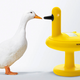 Illustration for article titled Duck Doesnt Have To Be On the Menu To Use This Adorable Kitchen Timer